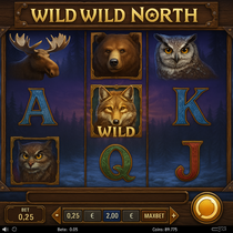 Betiro - Wild Wild North Slot Game